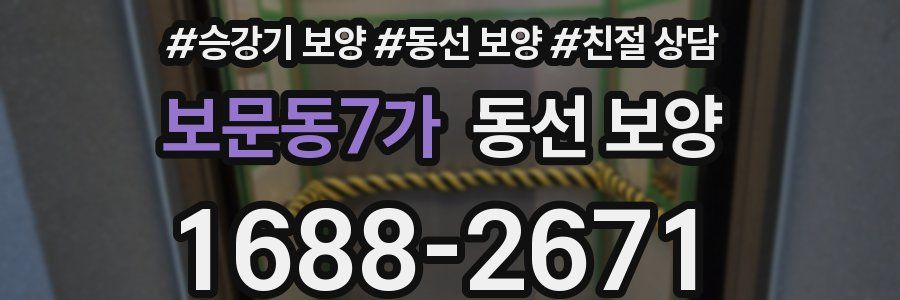 보문동7가 동선 보양