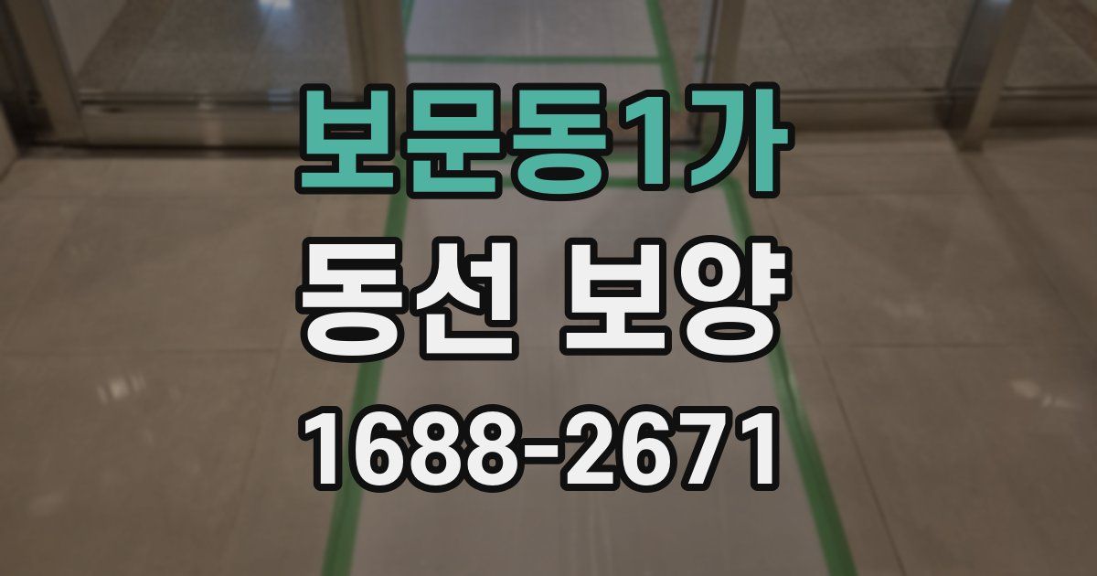 보문동1가 동선 보양