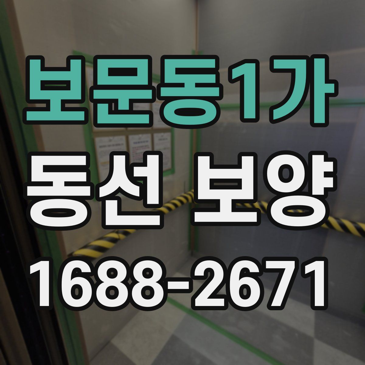 보문동1가 동선 보양