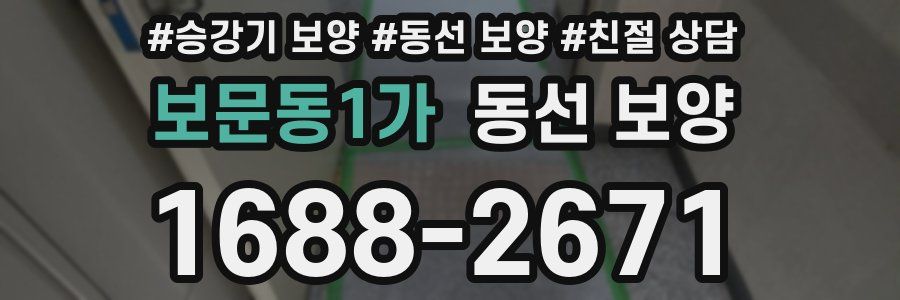 보문동1가 동선 보양