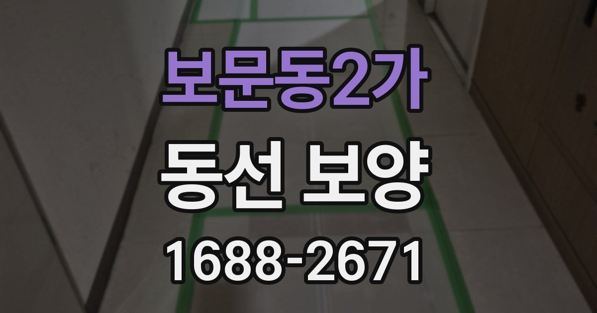 보문동2가 동선 보양