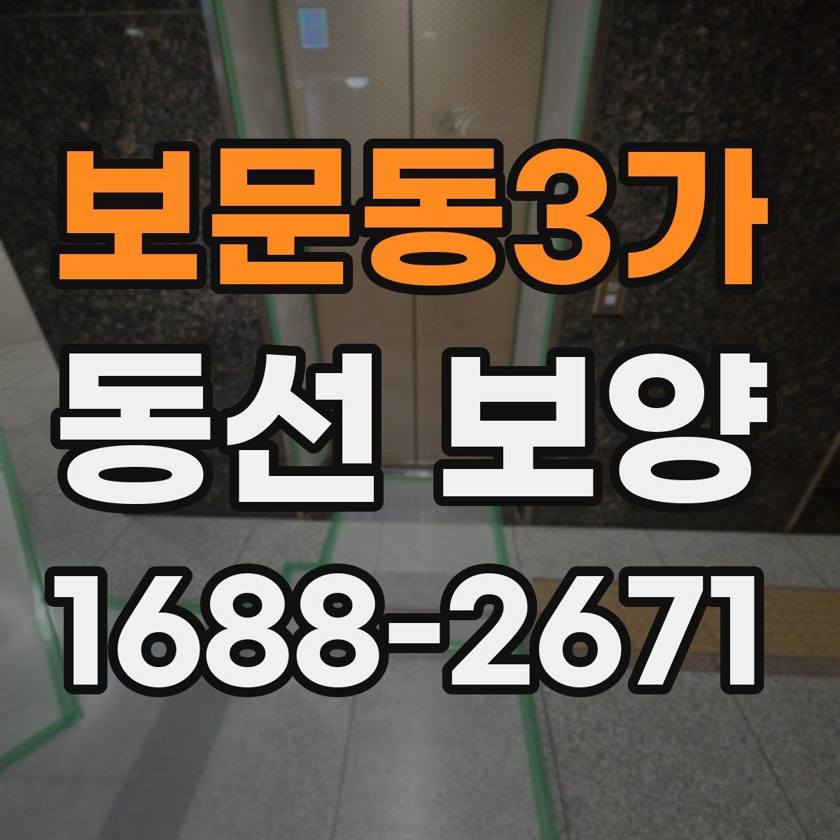 보문동3가 동선 보양 과정에서 발생할 수 있는 문제
