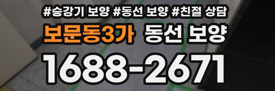 보문동3가 동선 보양