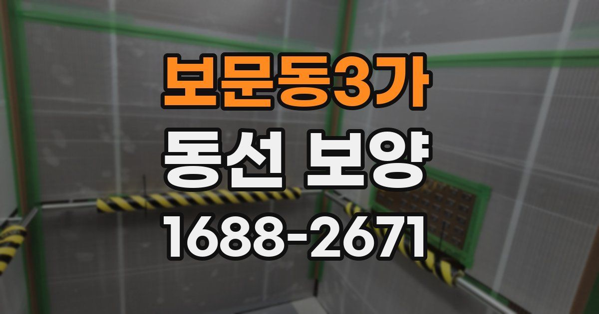 보문동3가 동선 보양