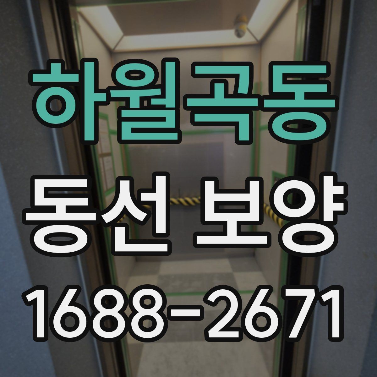 하월곡동 동선 보양 비용을 절감할 때 주의할 점