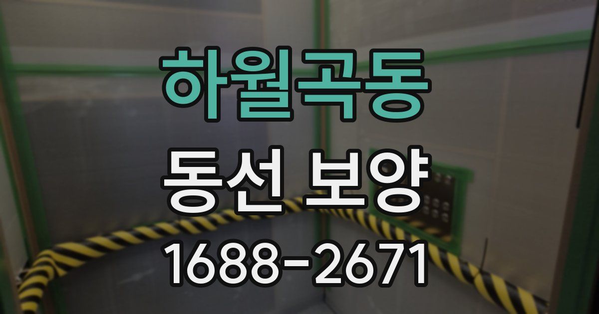 하월곡동 동선 보양
