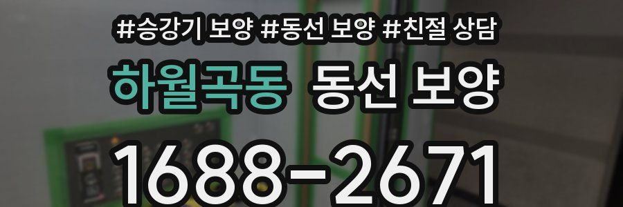 하월곡동 동선 보양