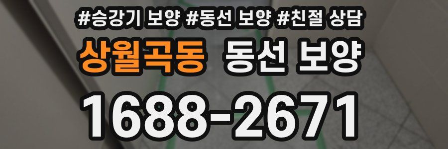 상월곡동 동선 보양