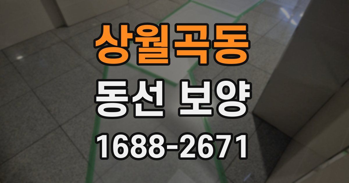 상월곡동 동선 보양