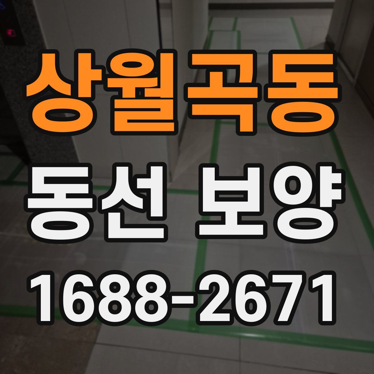 상월곡동 동선 보양