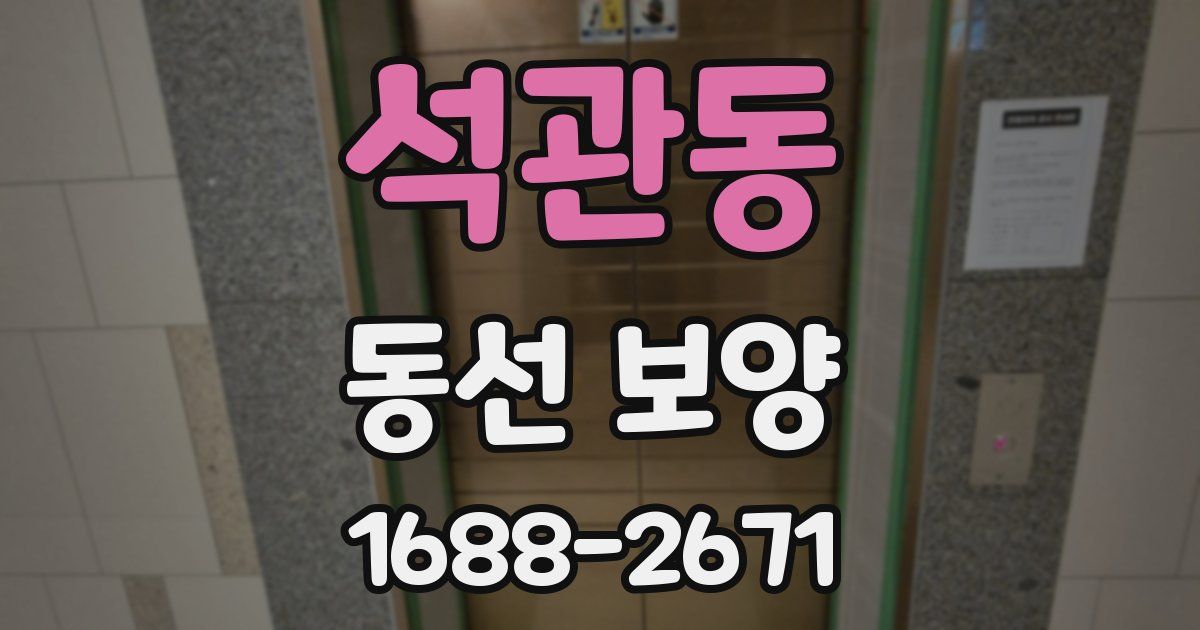 석관동 동선 보양