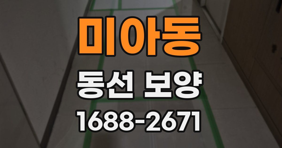 미아동 동선 보양