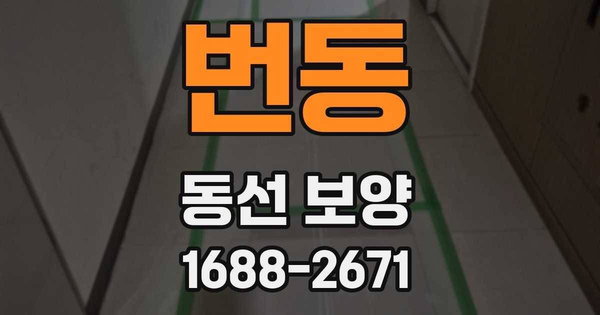 번동 동선 보양
