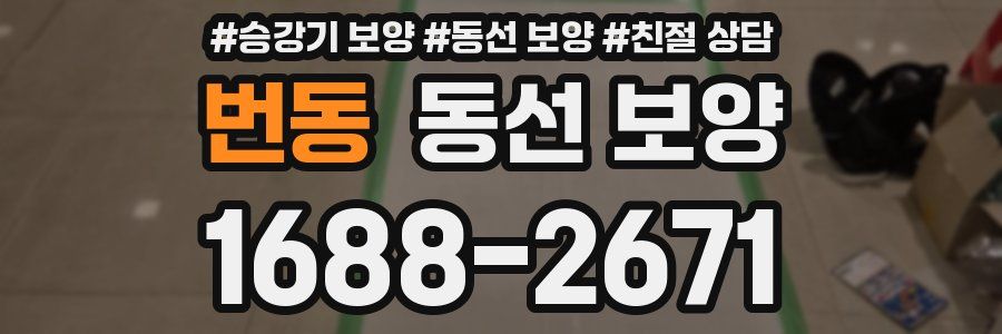 번동 동선 보양