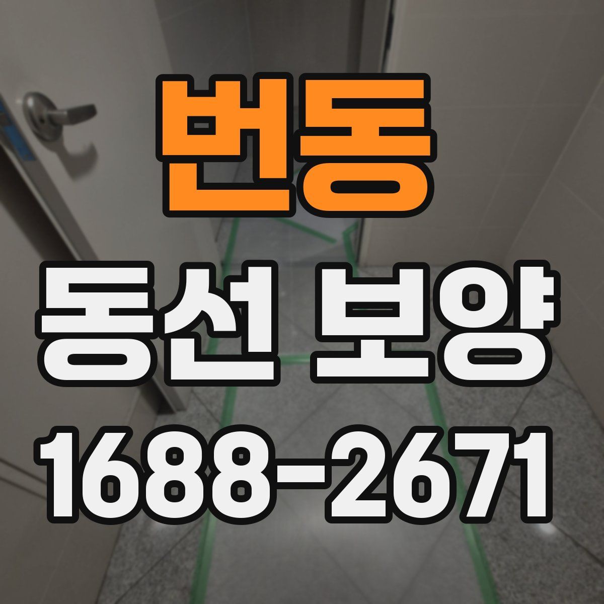 번동 동선 보양
