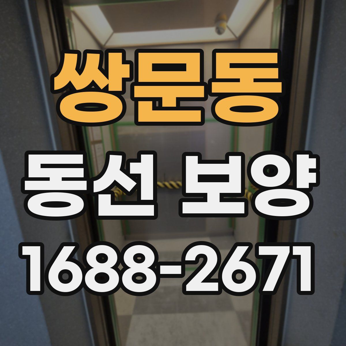 쌍문동 동선 보양
