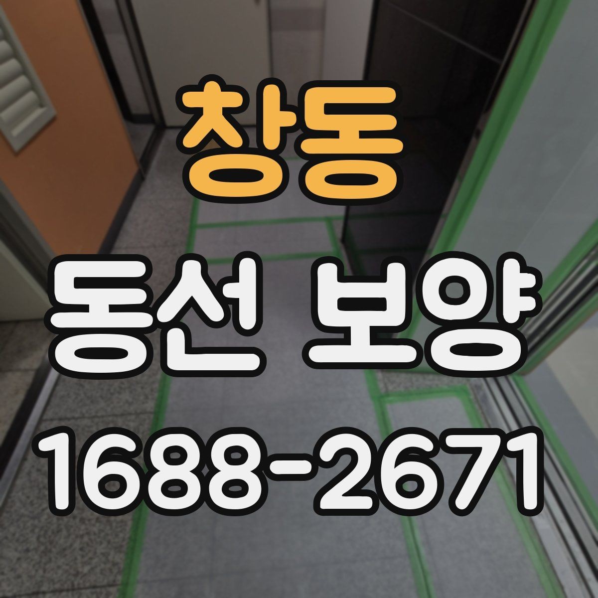 창동 동선 보양 적용 시기와 적절한 타이밍