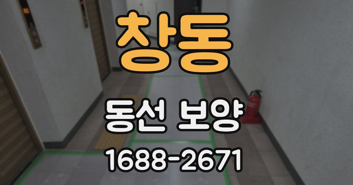 창동 동선 보양