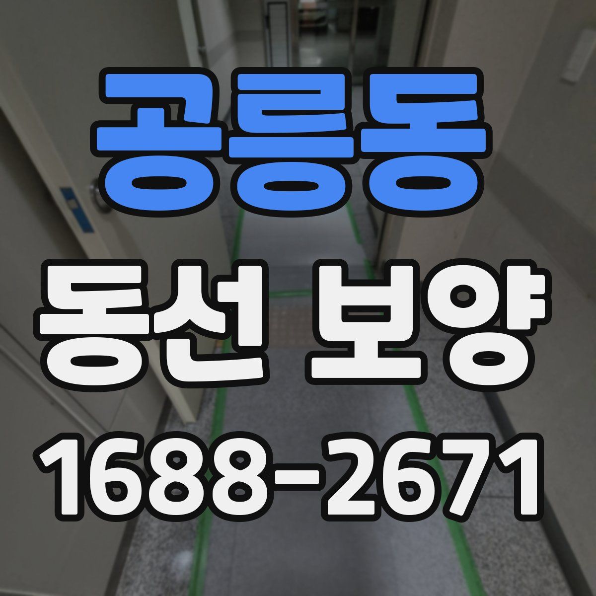 공릉동 동선 보양