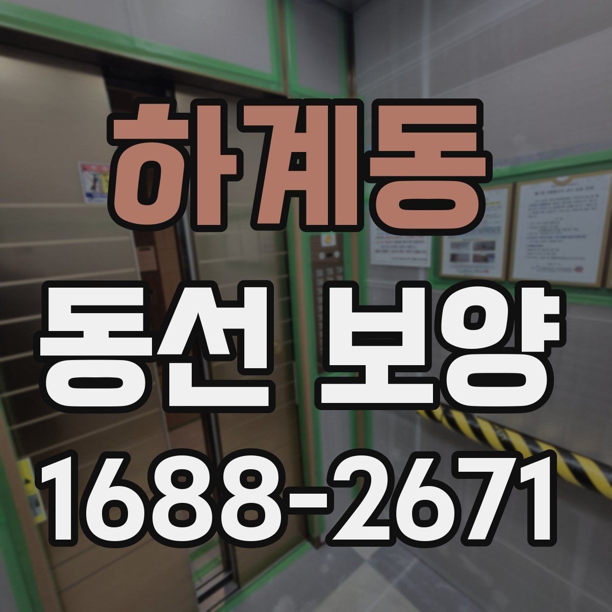 하계동 동선 보양 일정 잡을 때 참고할 내용