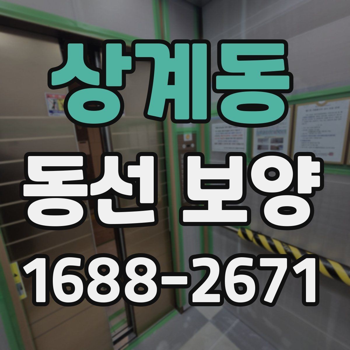 상계동 동선 보양 현장에서 주의할 점 모음