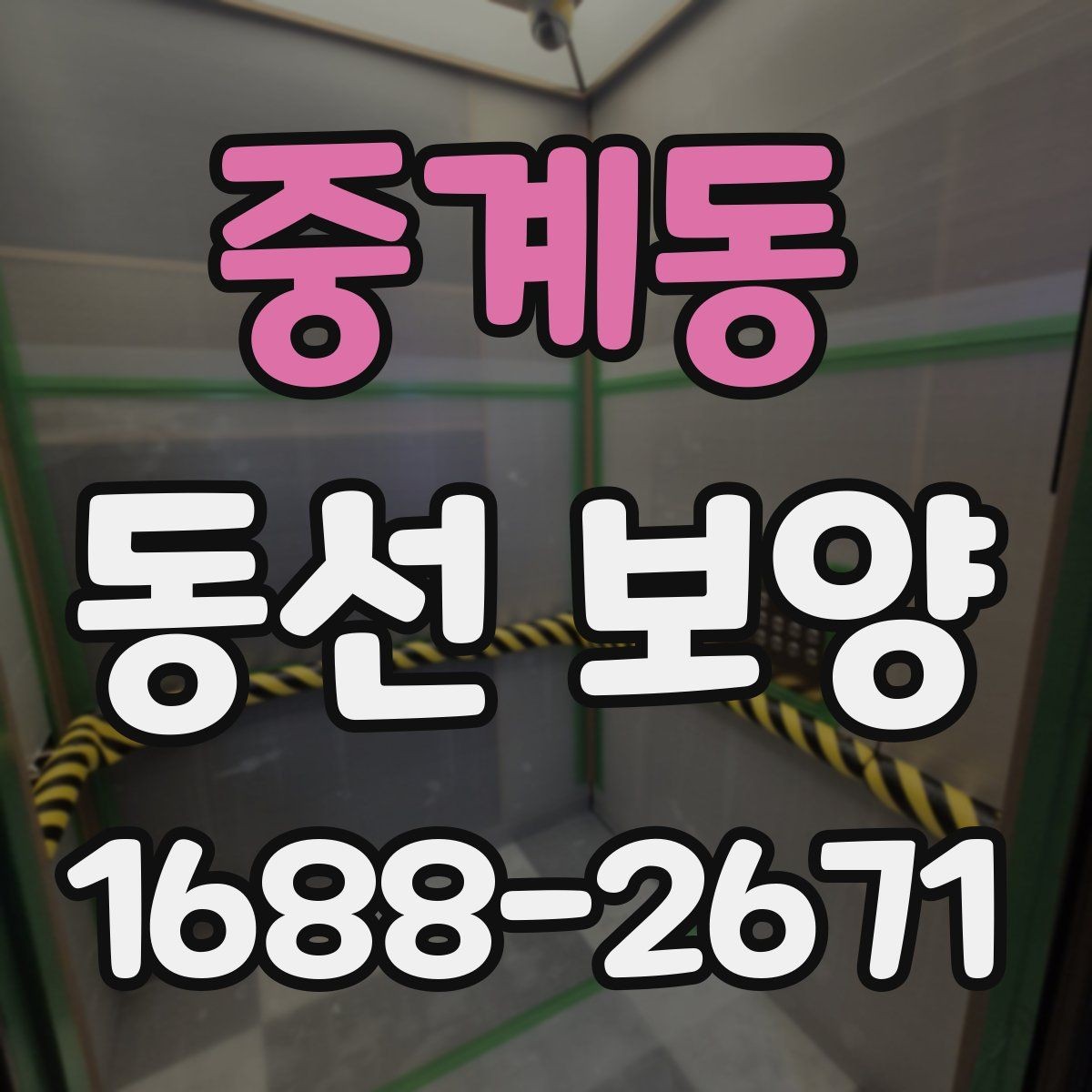 중계동 동선 보양 견적 비교할 때 살펴볼 포인트