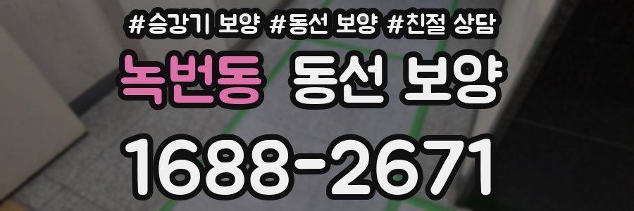 녹번동 동선 보양