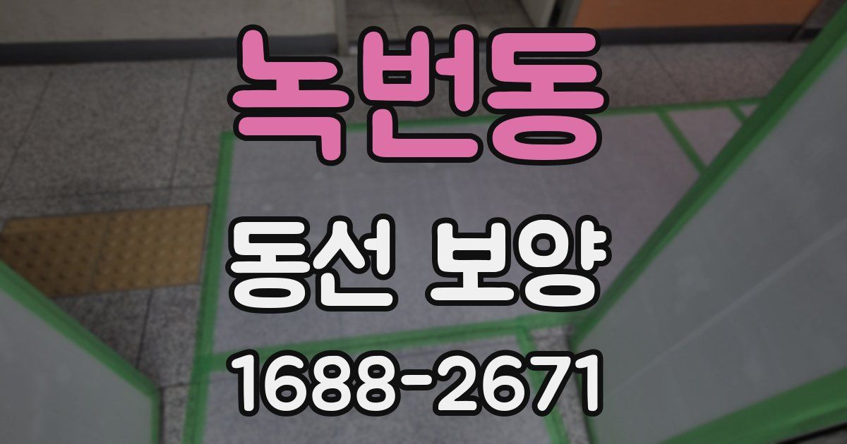 녹번동 동선 보양