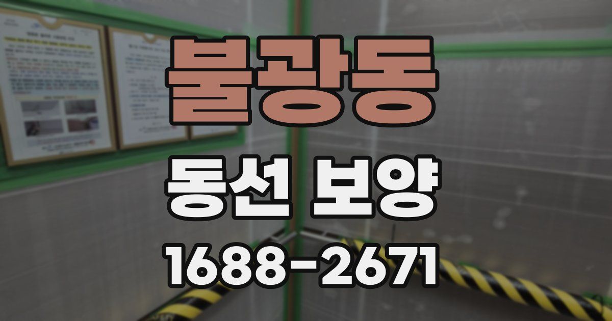 불광동 동선 보양