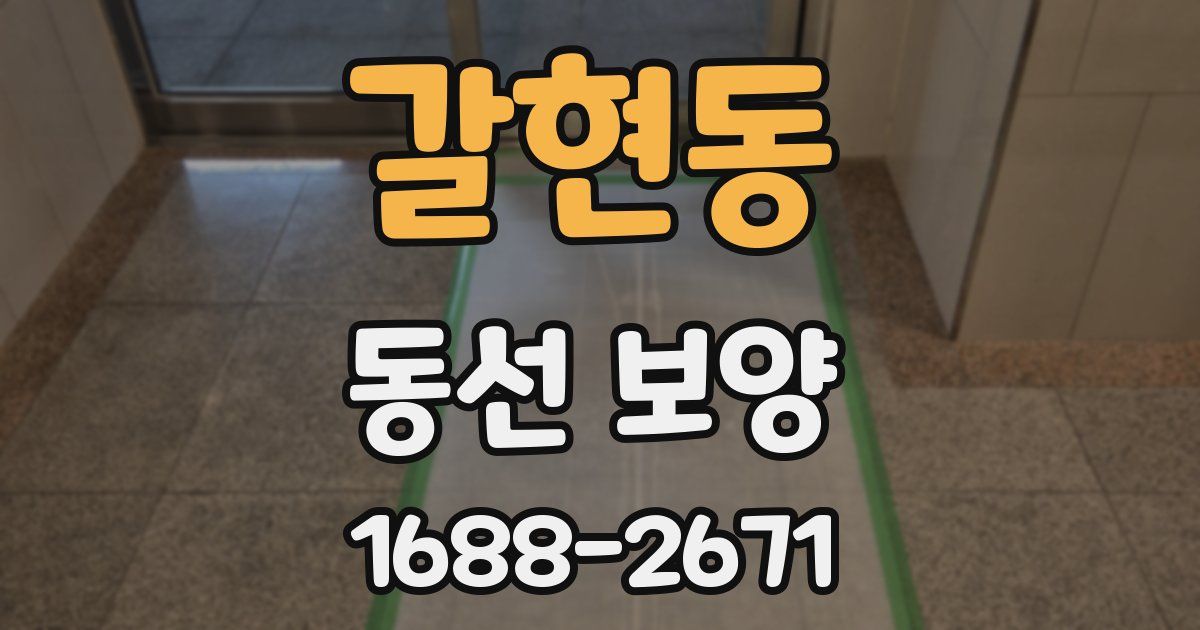 갈현동 동선 보양
