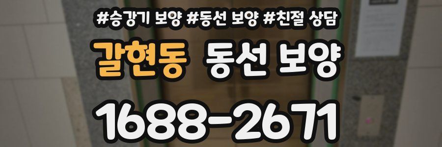 갈현동 동선 보양