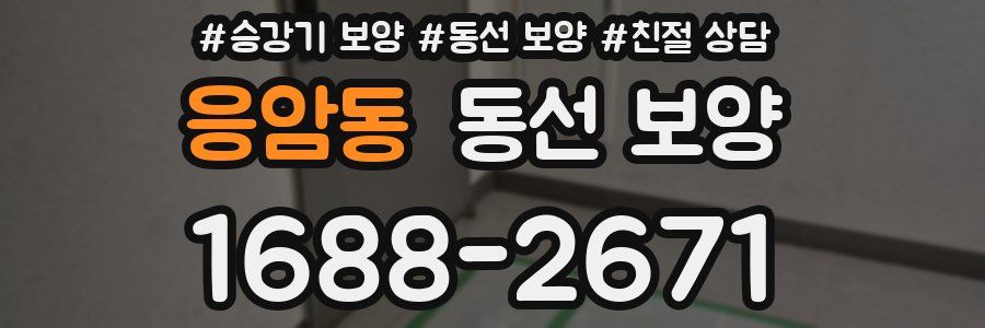 응암동 동선 보양