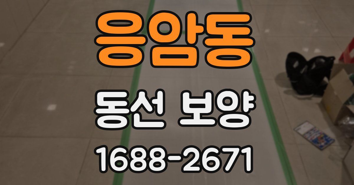 응암동 동선 보양