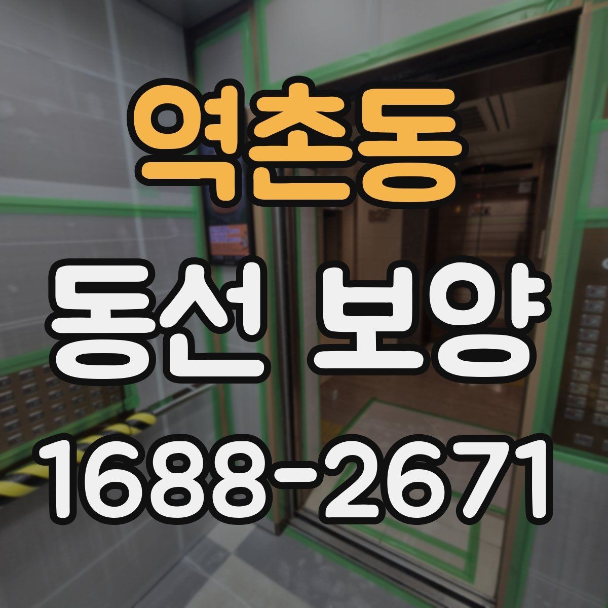 역촌동 동선 보양 시공 사례로 보는 준비 포인트