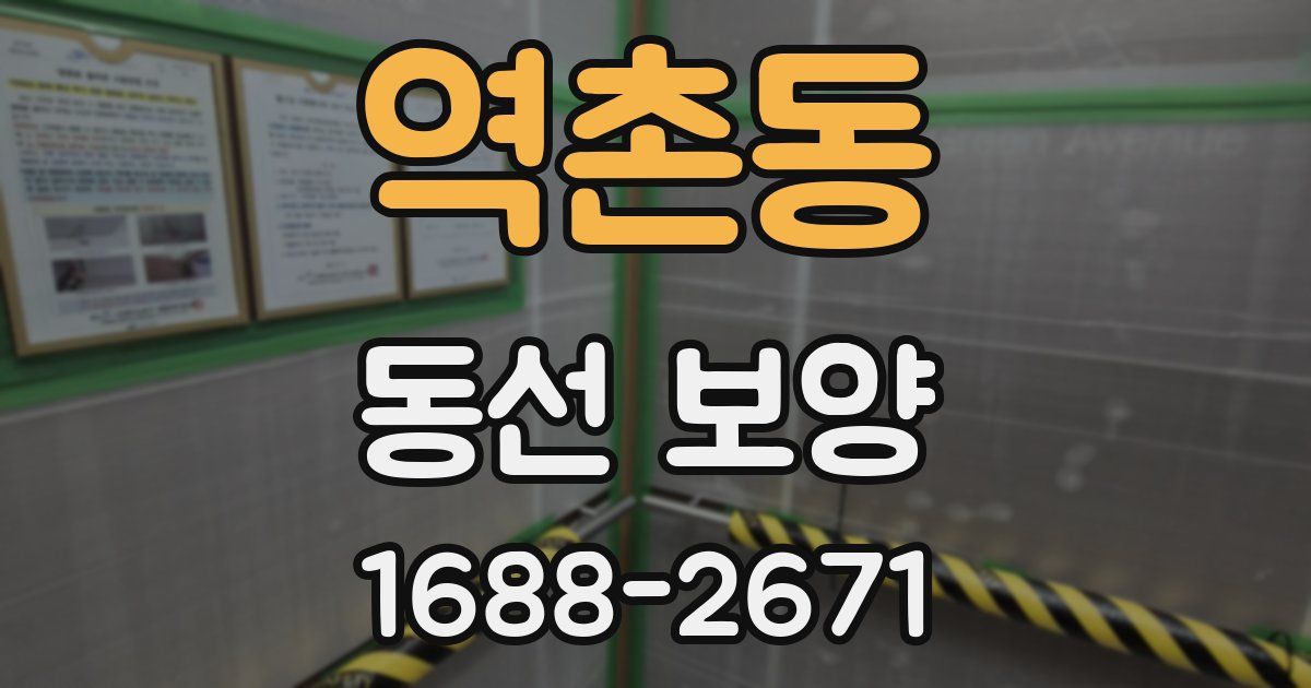 역촌동 동선 보양
