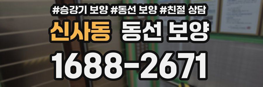 신사동 동선 보양