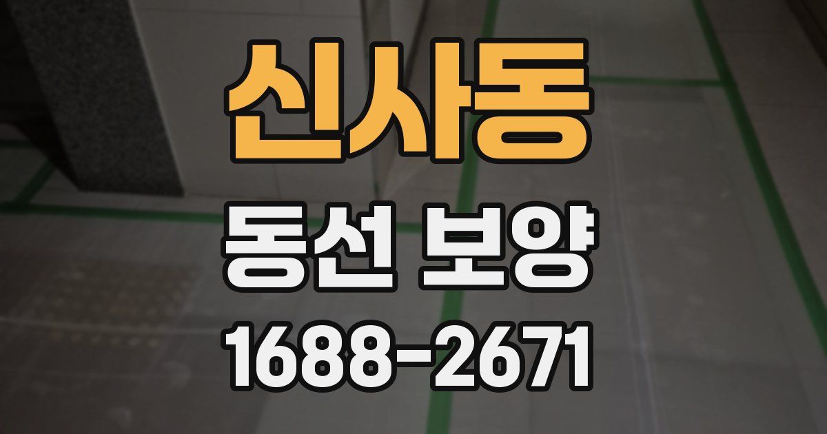 신사동 동선 보양