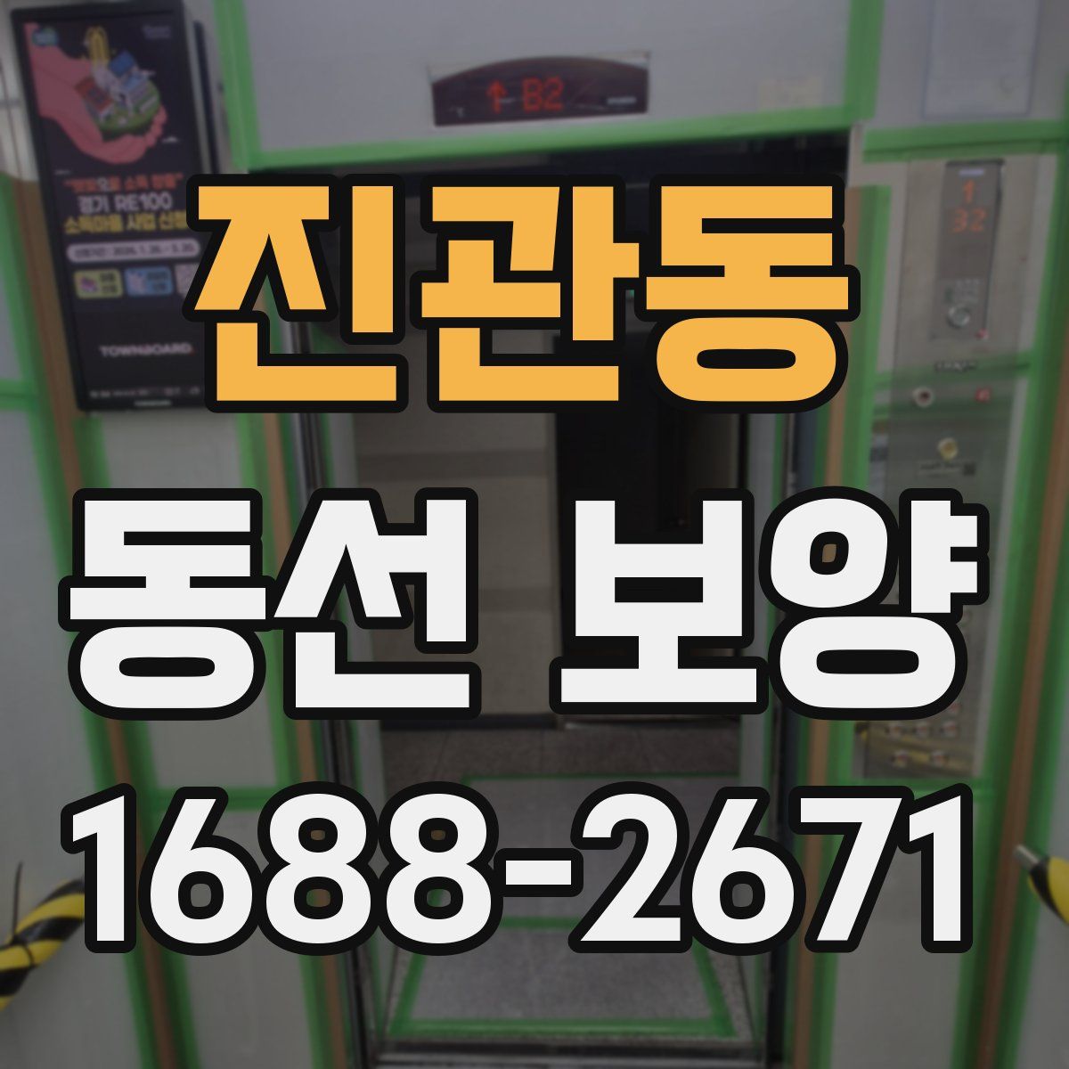 진관동 동선 보양