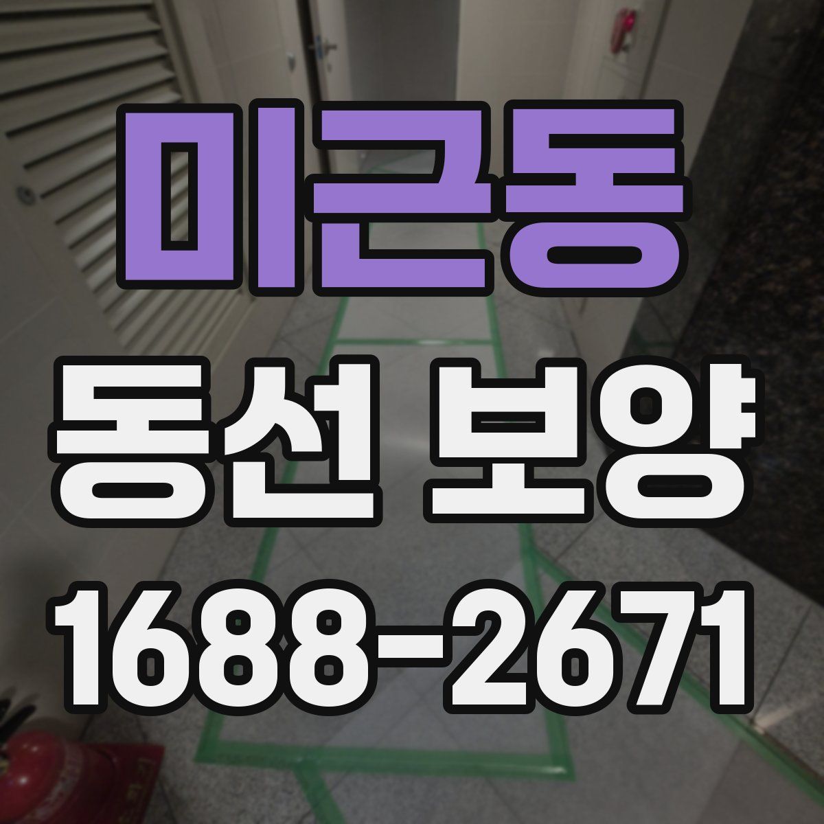 미근동 동선 보양