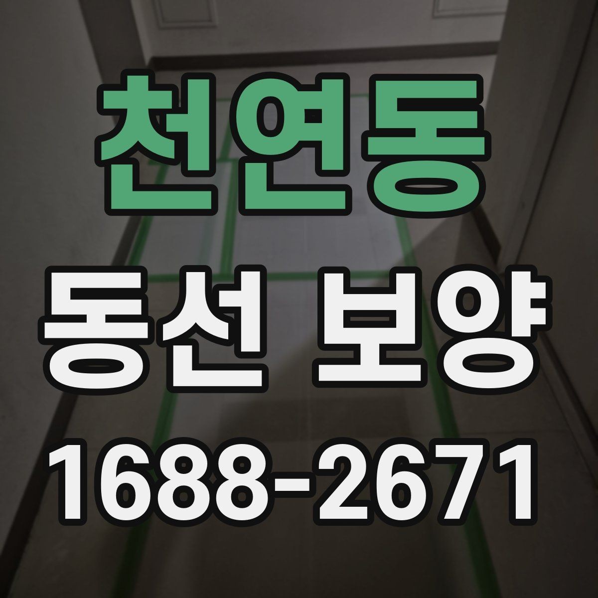 천연동 동선 보양 과정별 역할과 확인 포인트