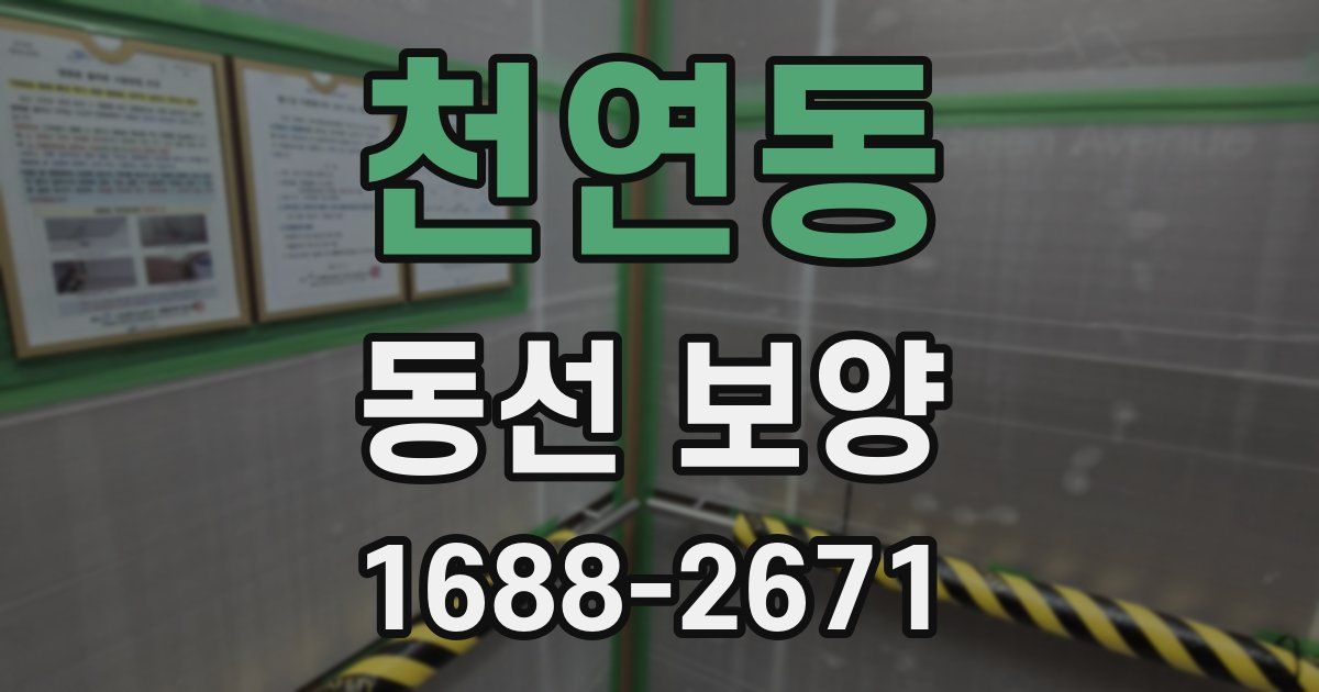 천연동 동선 보양