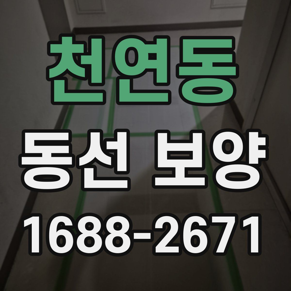 천연동 동선 보양