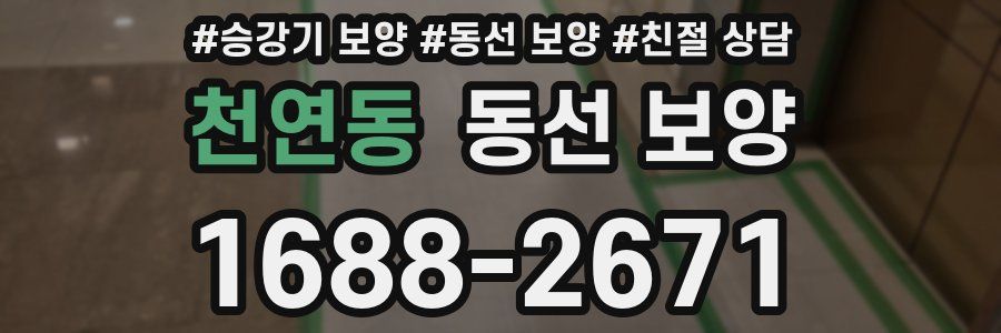 천연동 동선 보양