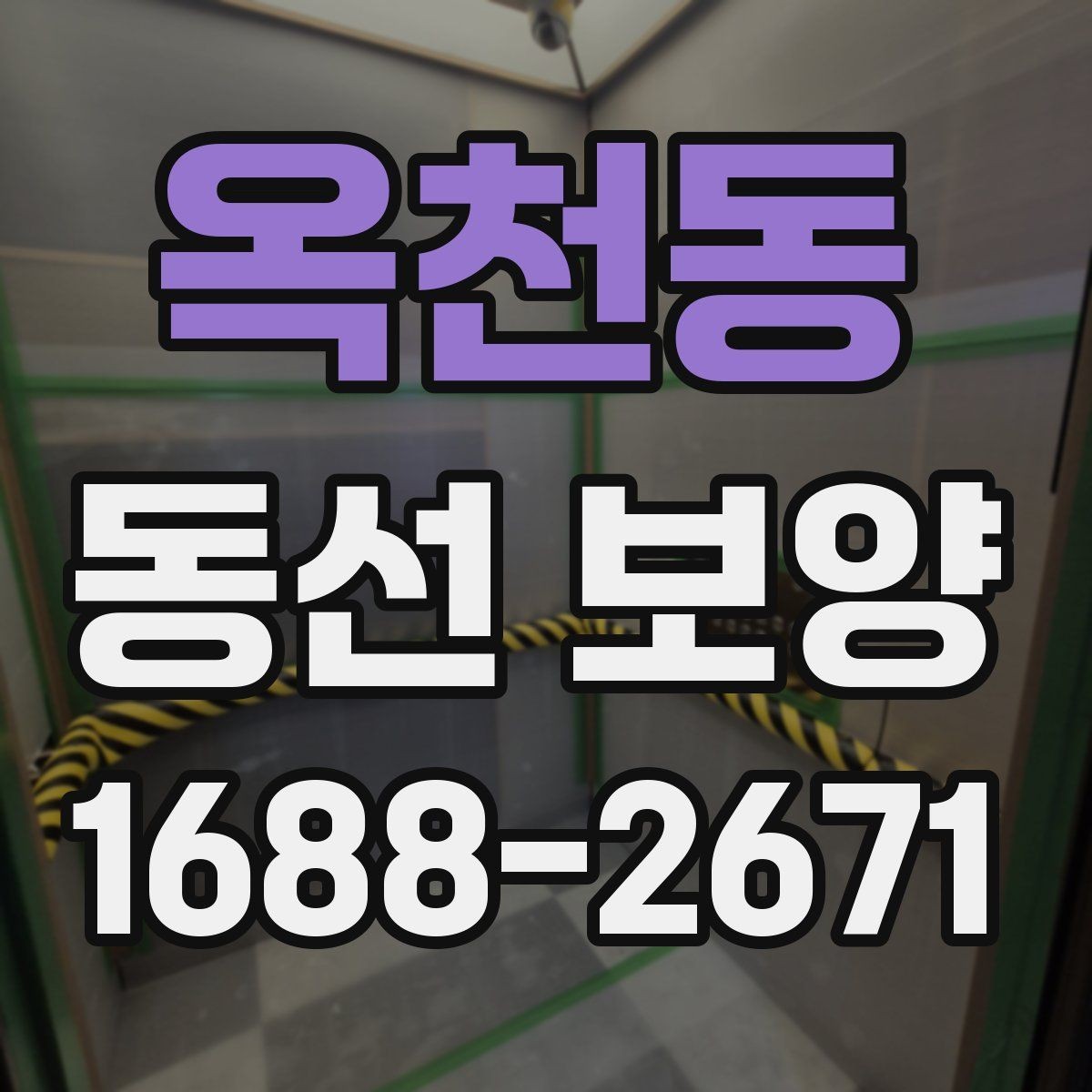 옥천동 동선 보양 적용 범위를 정하는 기준