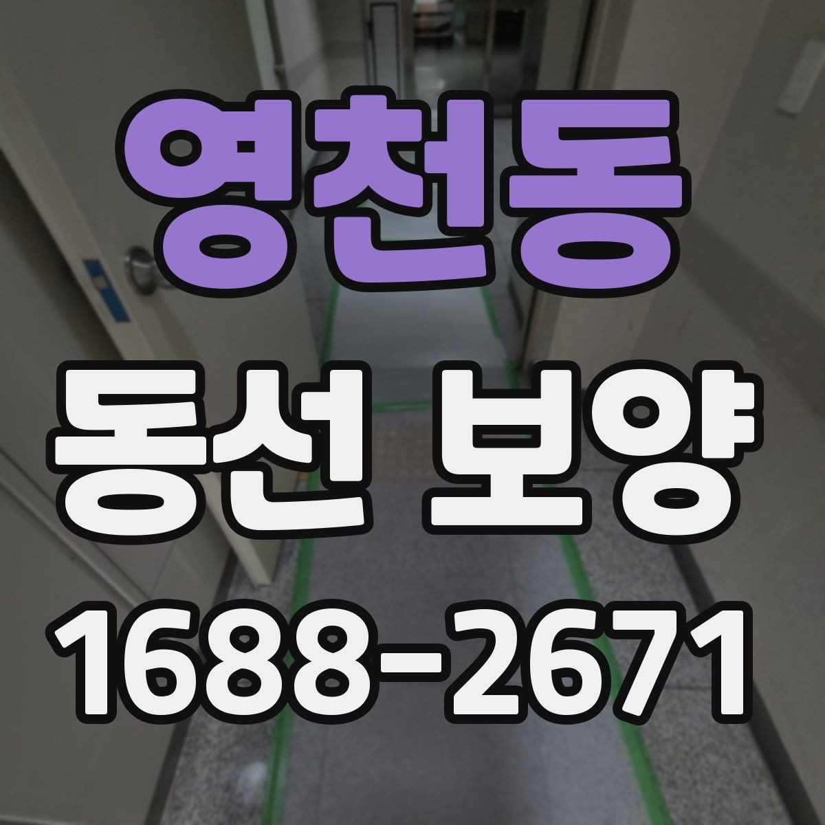 영천동 동선 보양 작업 전 꼭 확인할 점
