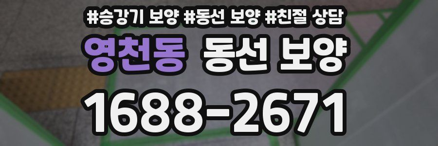영천동 동선 보양