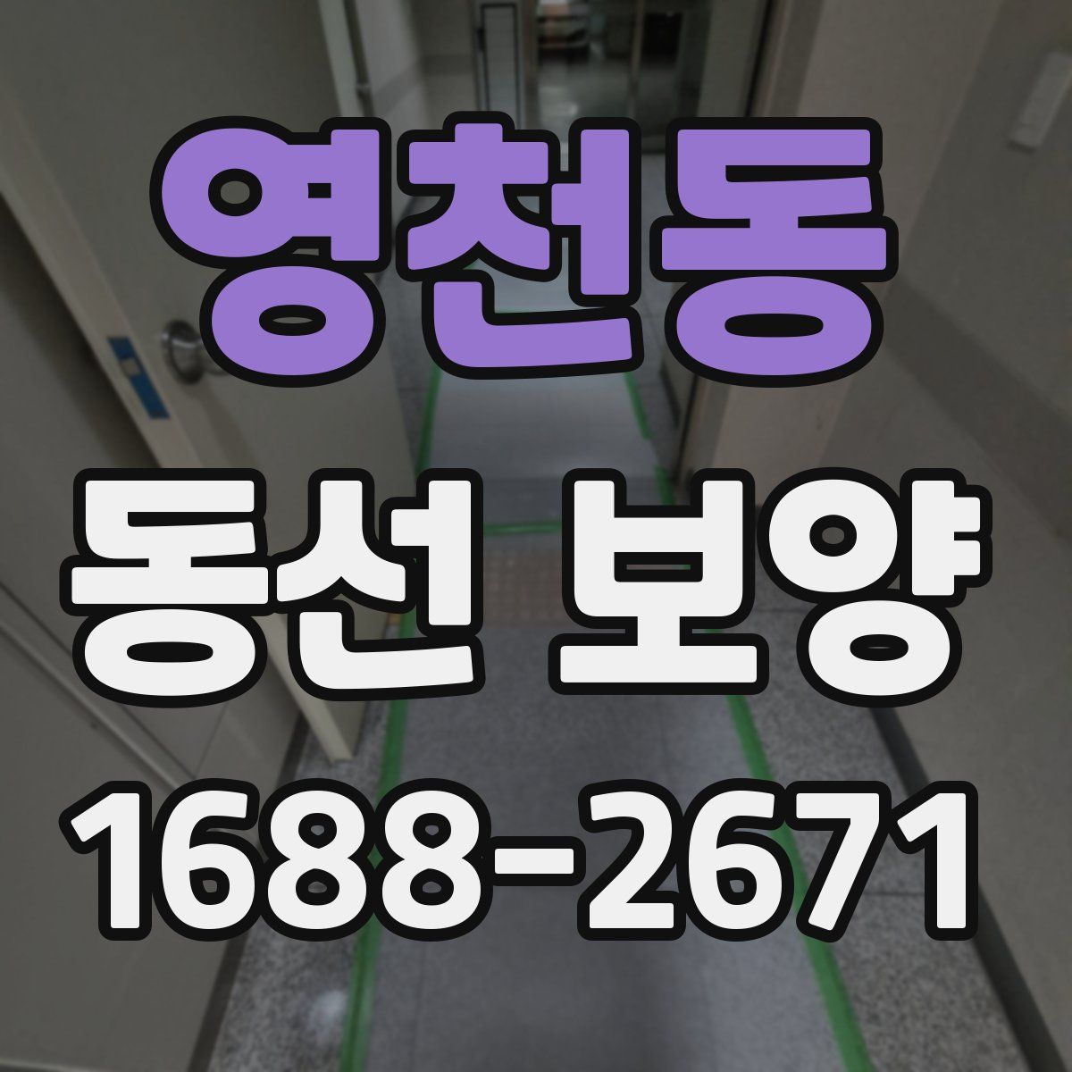 영천동 동선 보양