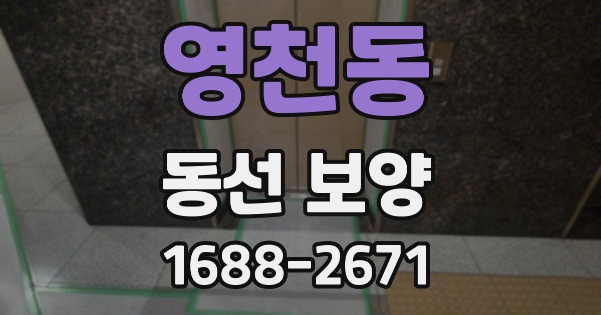 영천동 동선 보양