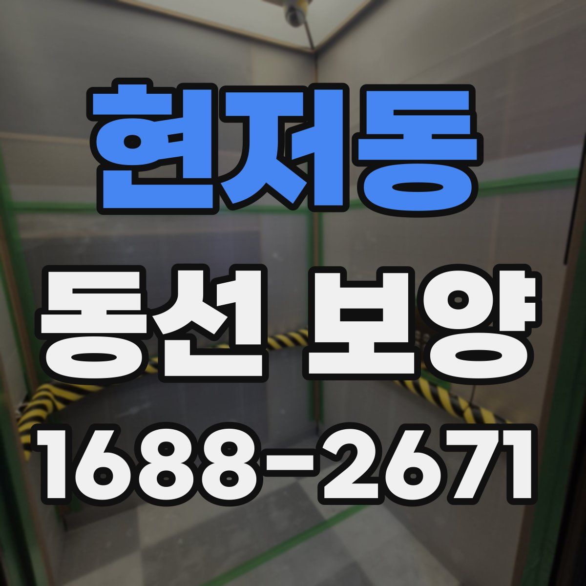현저동 동선 보양