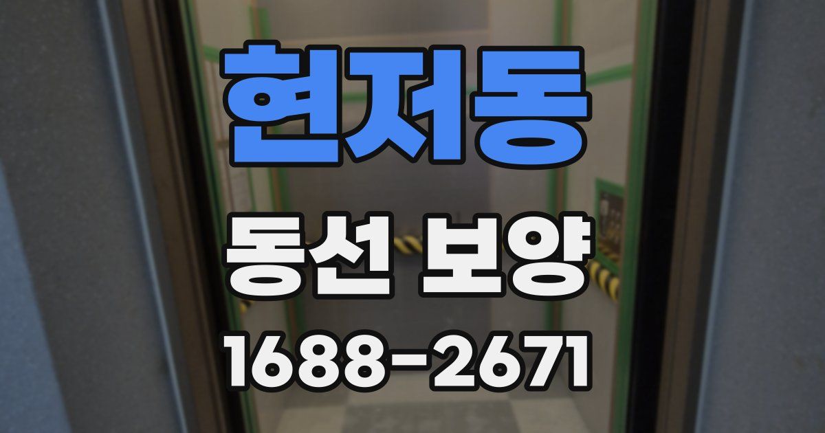 현저동 동선 보양